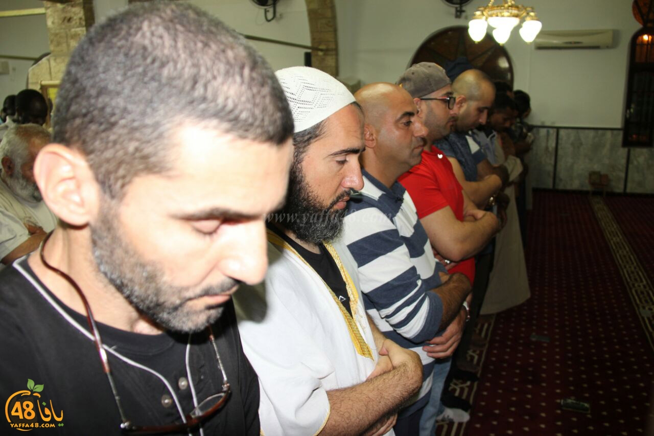 trawe7 salahsaj (30).jpg